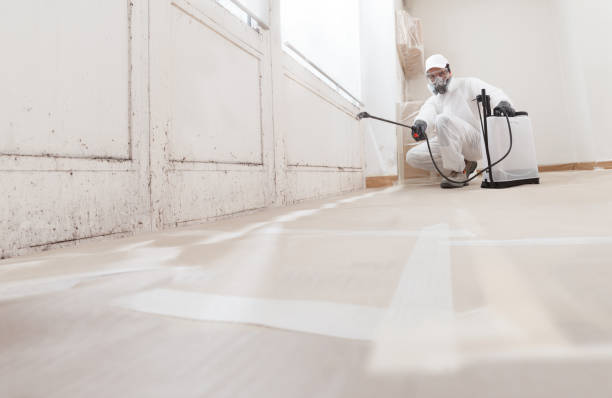 24/7 Emergency Commercial Mold Remediation experts in Sparta, MI