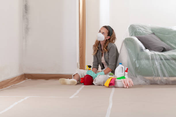 Reliable Commercial Mold Remediation contractor in Sparta, MI by 24 Hour Mold Removal